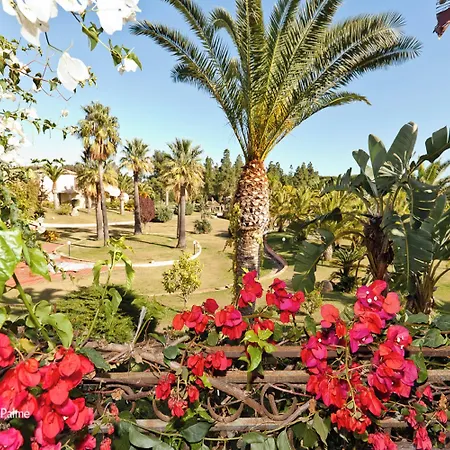 Baia Delle Palme Bilocale Premium Hotel Fox E Sali-monte Agumu